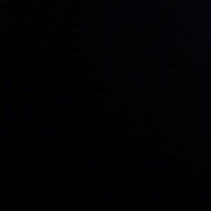 Meet your Posher, Rosalie